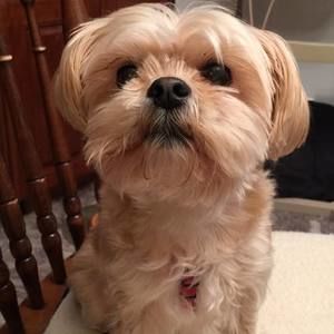 Meet your Posher, Mary anne